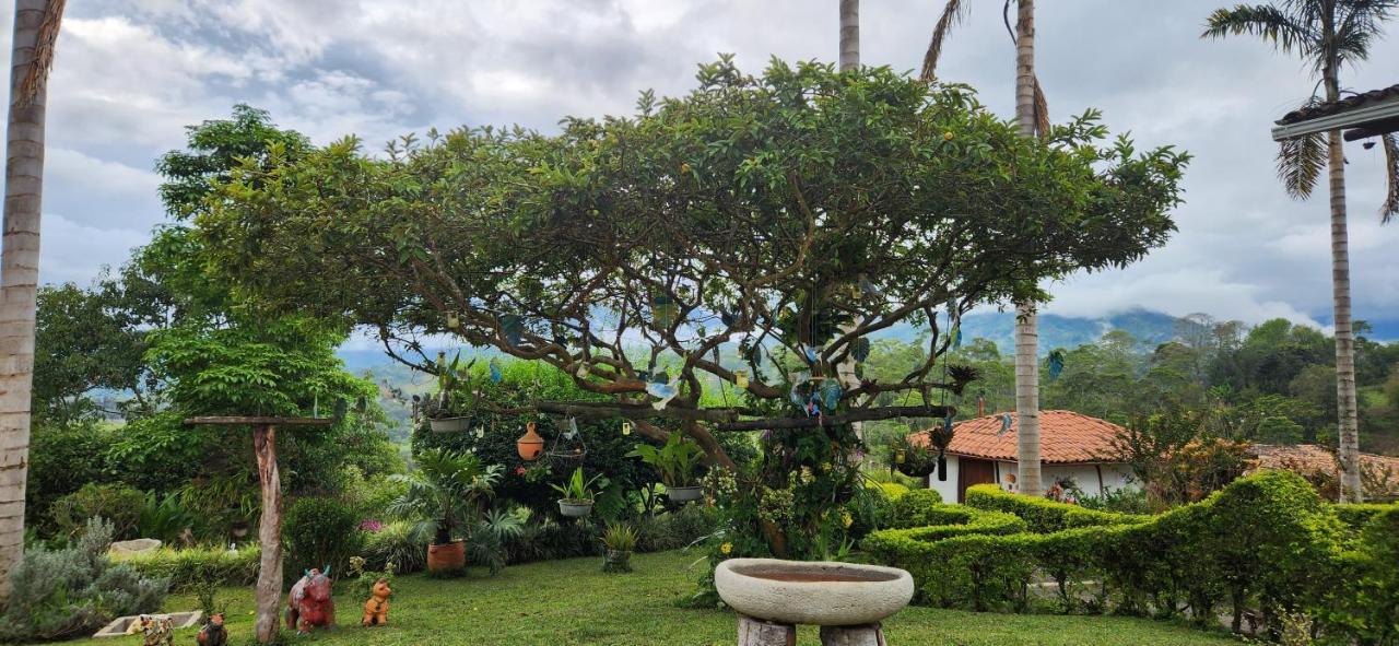 Alojamento de Turismo Selvagem Akawanka San Agustín